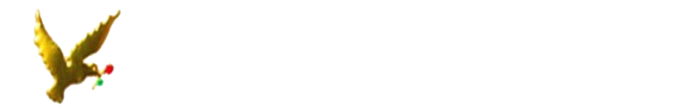 PT Sumber Surya Kalvari