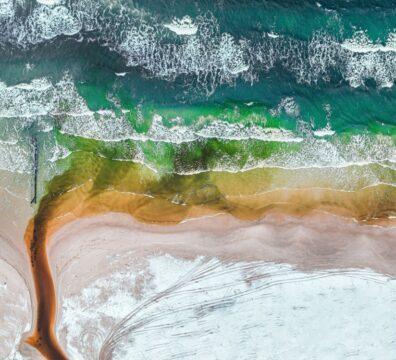 Tumpahan Minyak di Laut: Ancaman Nyata yang Terus Diulang Manusia